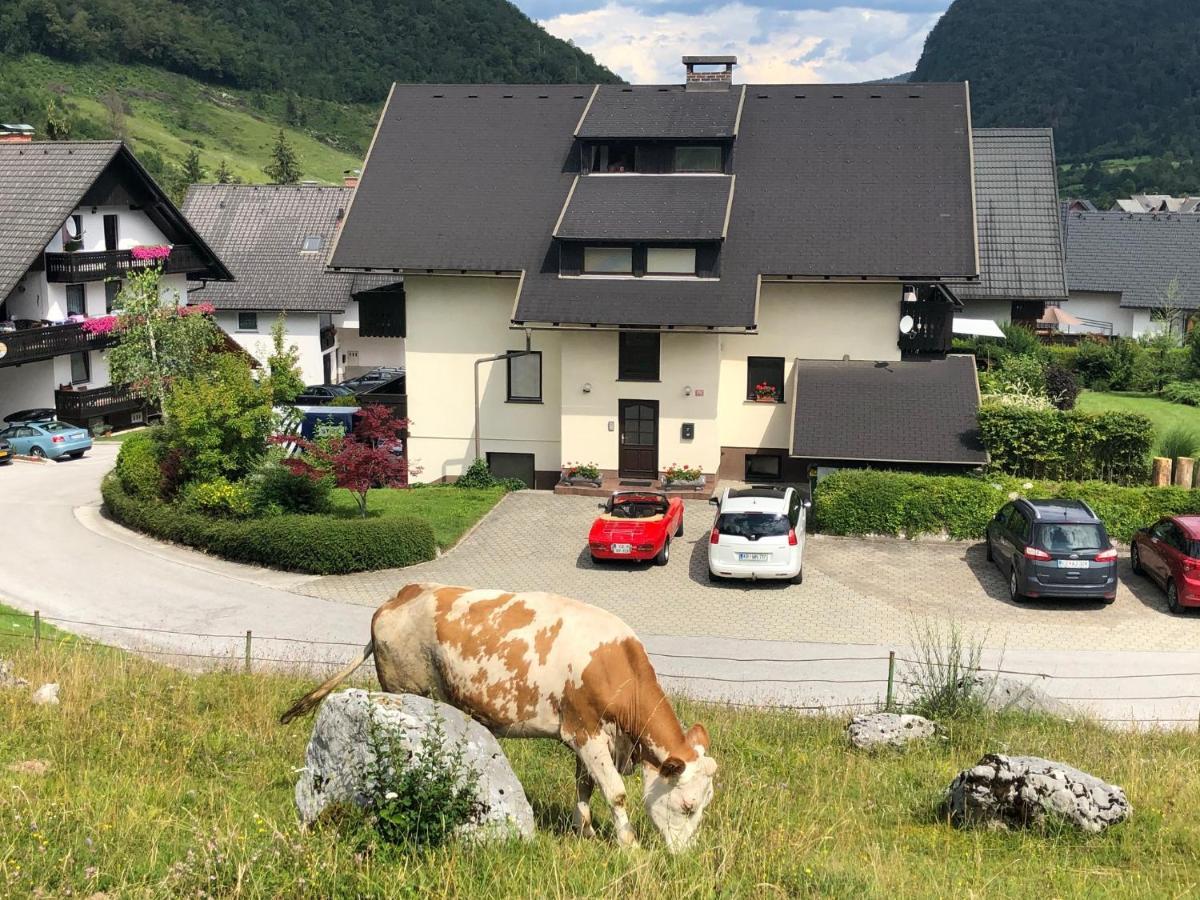 Apartment In The Heart Of Nature Бохинь Экстерьер фото